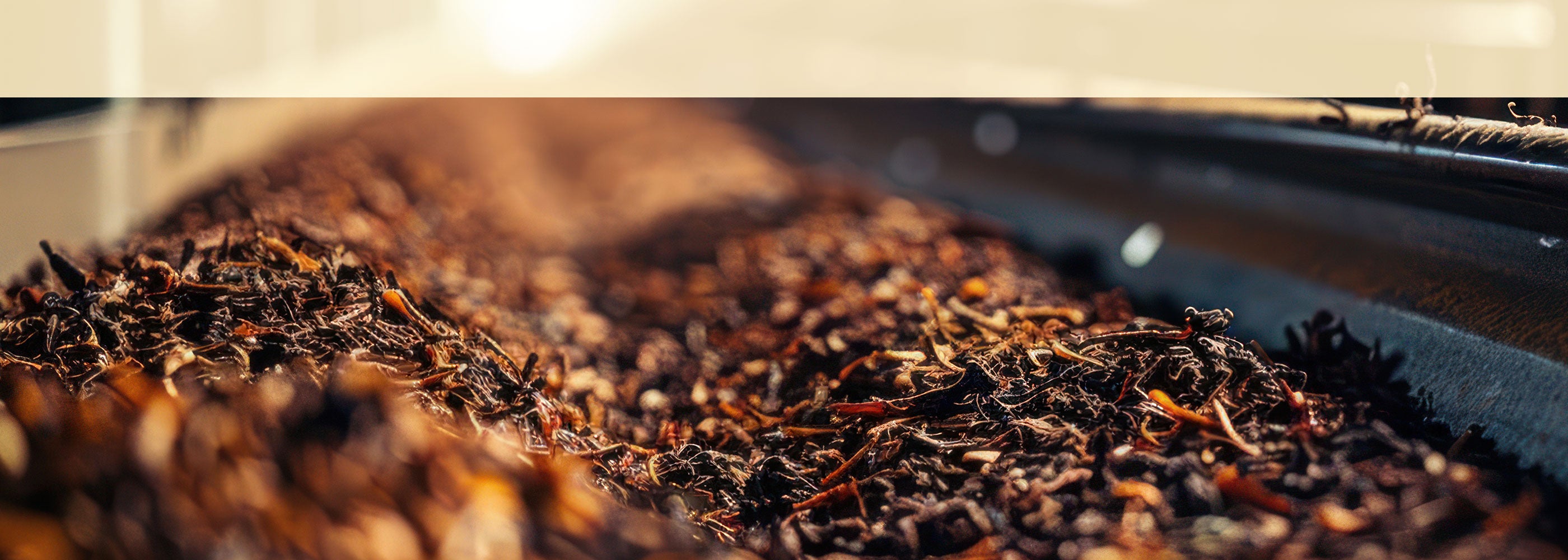 Nahaufnahme von Teeblättern ausgebreitet für den Trocknungsprozess